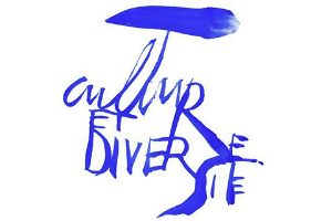http://unespritdefamille.org/wp-content/uploads/2016/03/UEDF-culture-diversite%CC%81-logo-300x200.jpg